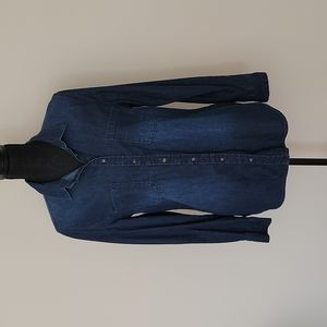 Merona Women's Long Sleeve Collar Shirt, Color: Blue, Size: Large